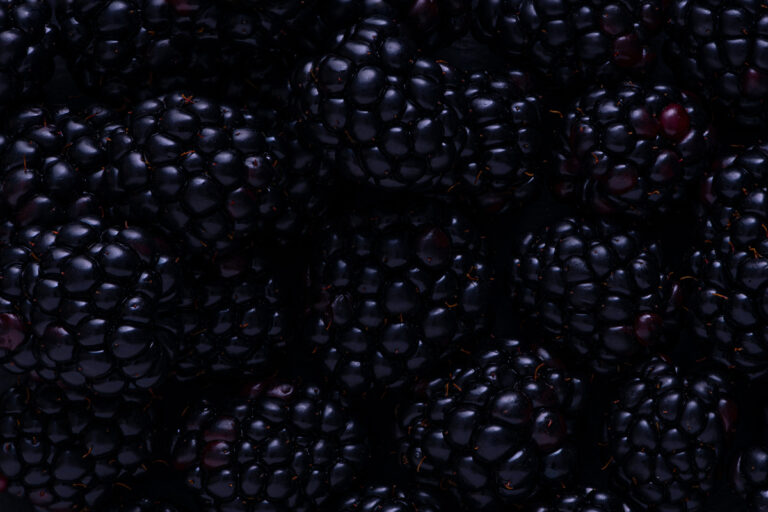 Blackberries Foremost Fresh Direct